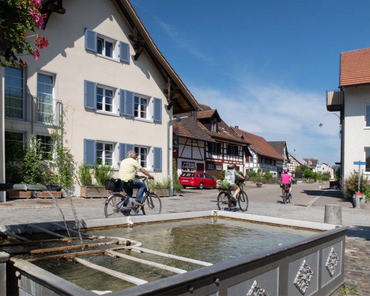 VL_752_090_Dachsen_F_M